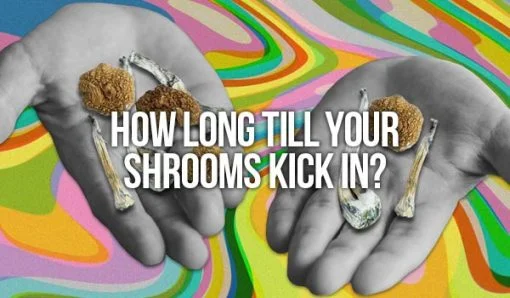 How Long Till Your Shrooms Kick In?