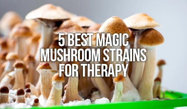 5 Best Magic Mushroom Strains For Therapy
